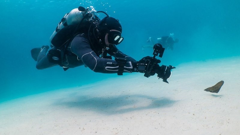 PADI Underwater Videographer PADI Underwater Videographer