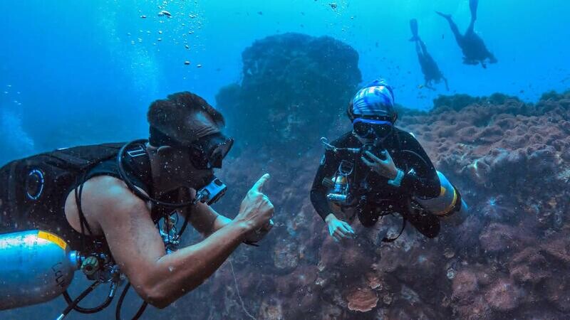 PADI Master Scuba Diver Trainer (MSDT) PADI Master Scuba Diver Trainer (MSDT)