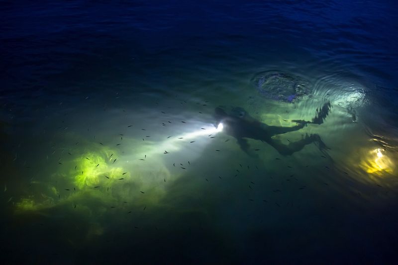 PADI Night Diver PADI Night Diver
